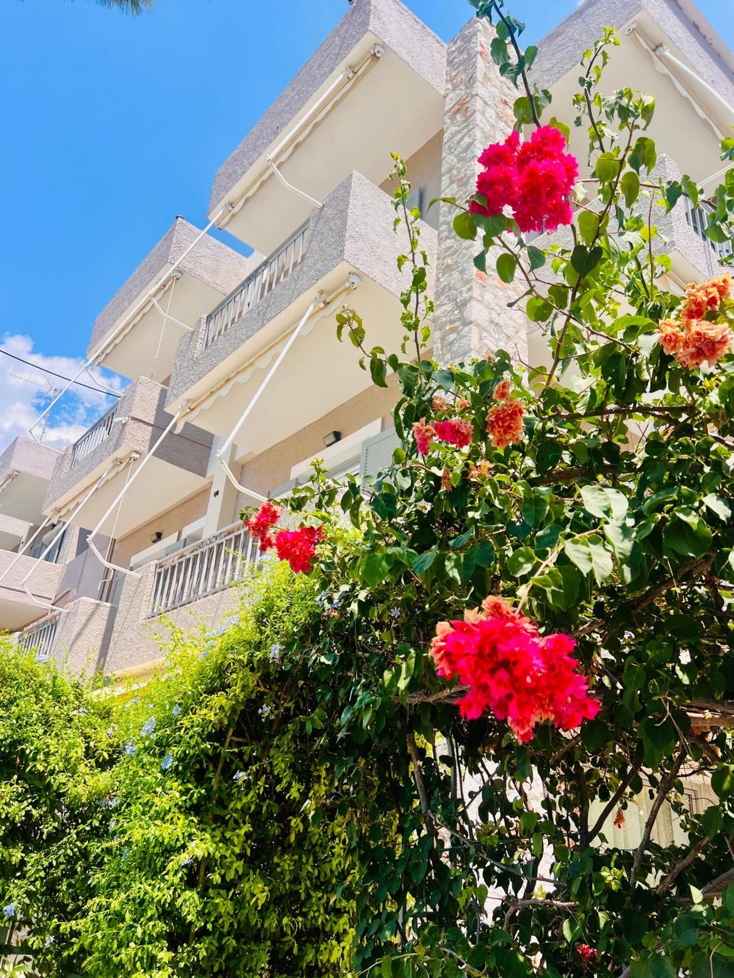 Aloe Luxury Apartments Porto Heli Dış mekan fotoğraf